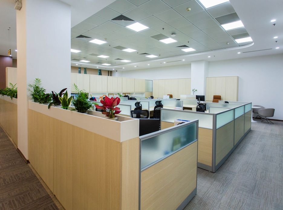 Spacious and bright open office area with cubicles, plants, and contemporary design