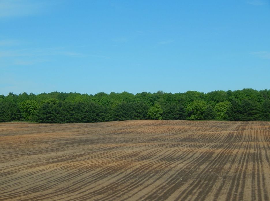 A wide view of a freshly plowed field against a backdrop of lush green forest and clear blue sky