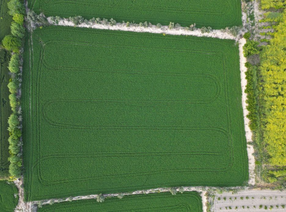 Aerial shot of vibrant green agricultural fields in Denizli, Türkiye