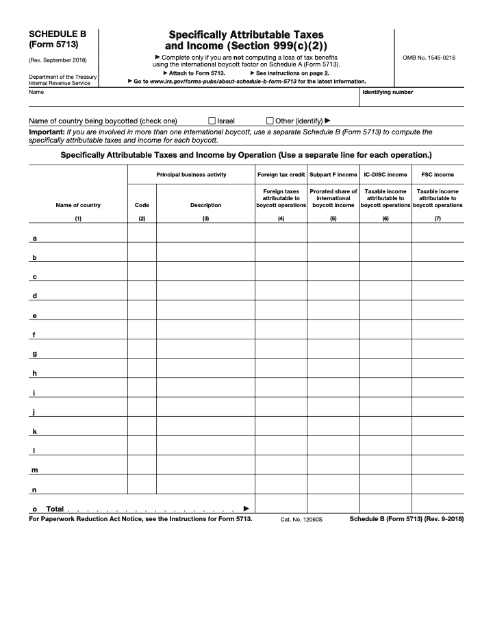 Page 1 of 2 of the official IRS Form 5713 Schedule B PDF (Rev. September 2018)